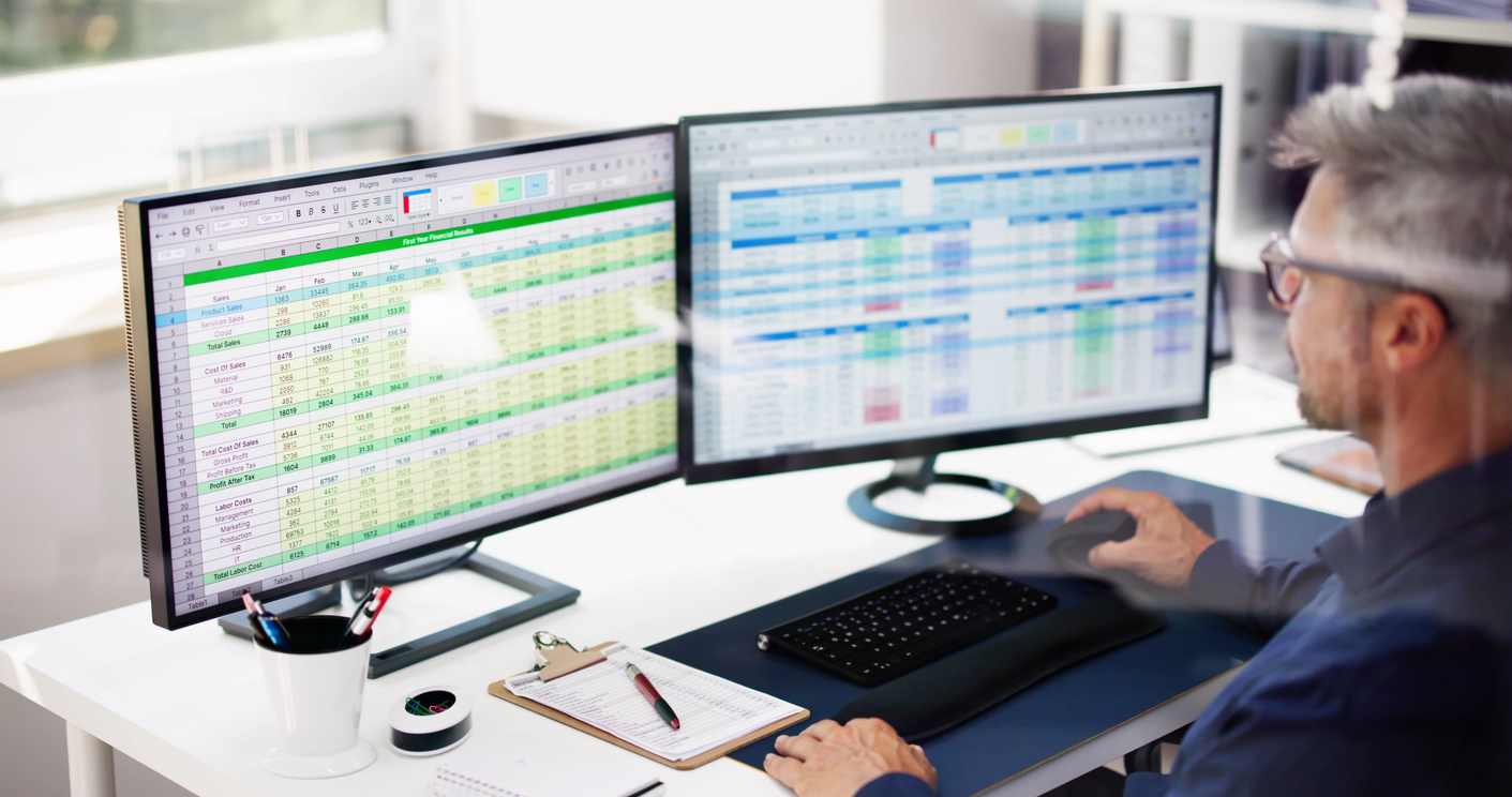 Accountant using spreadsheet